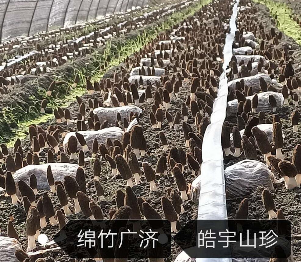 &#49;&#88;&#66;&#69;&#84;&#38598;&#22242;&#23448;&#32593;&#40;&#20013;&#22269;&#41;&#23448;&#26041;&#32593;&#31449;