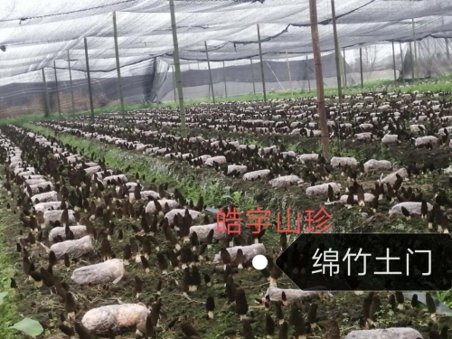 &#49;&#88;&#66;&#69;&#84;&#38598;&#22242;&#23448;&#32593;&#40;&#20013;&#22269;&#41;&#23448;&#26041;&#32593;&#31449;