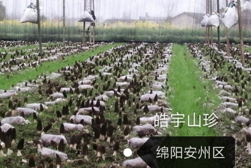 &#49;&#88;&#66;&#69;&#84;&#38598;&#22242;&#23448;&#32593;&#40;&#20013;&#22269;&#41;&#23448;&#26041;&#32593;&#31449;