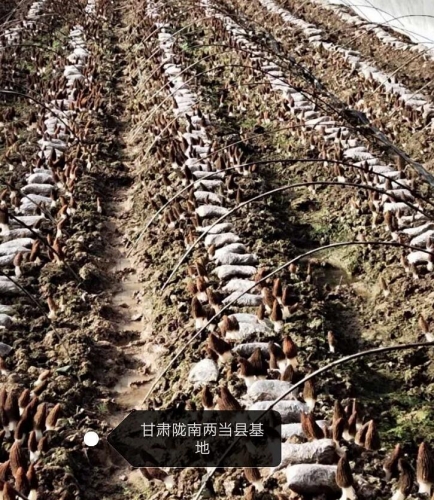 &#49;&#88;&#66;&#69;&#84;&#38598;&#22242;&#23448;&#32593;&#40;&#20013;&#22269;&#41;&#23448;&#26041;&#32593;&#31449;