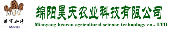 &#49;&#88;&#66;&#69;&#84;&#38598;&#22242;&#23448;&#32593;&#40;&#20013;&#22269;&#41;&#23448;&#26041;&#32593;&#31449;
