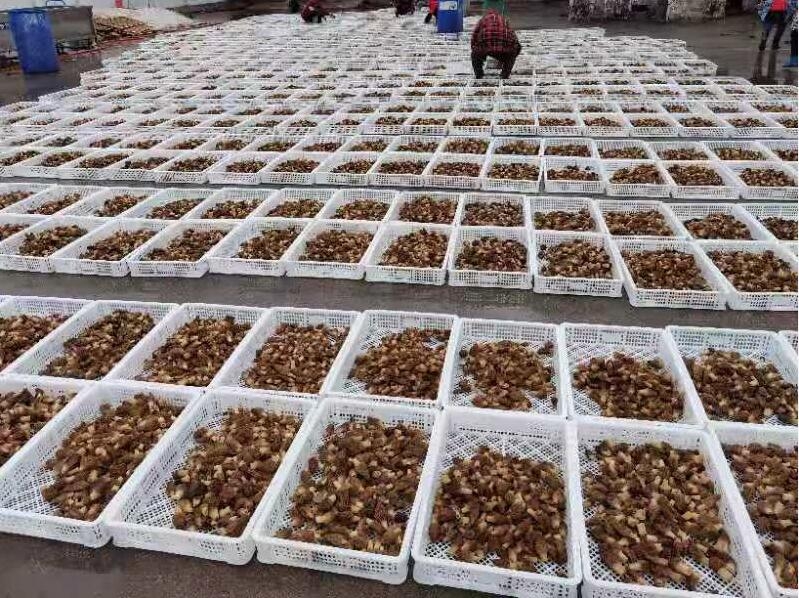 &#49;&#88;&#66;&#69;&#84;&#38598;&#22242;&#23448;&#32593;&#40;&#20013;&#22269;&#41;&#23448;&#26041;&#32593;&#31449;