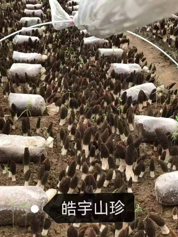 &#49;&#88;&#66;&#69;&#84;&#38598;&#22242;&#23448;&#32593;&#40;&#20013;&#22269;&#41;&#23448;&#26041;&#32593;&#31449;