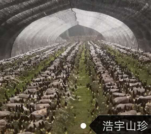 &#49;&#88;&#66;&#69;&#84;&#38598;&#22242;&#23448;&#32593;&#40;&#20013;&#22269;&#41;&#23448;&#26041;&#32593;&#31449;