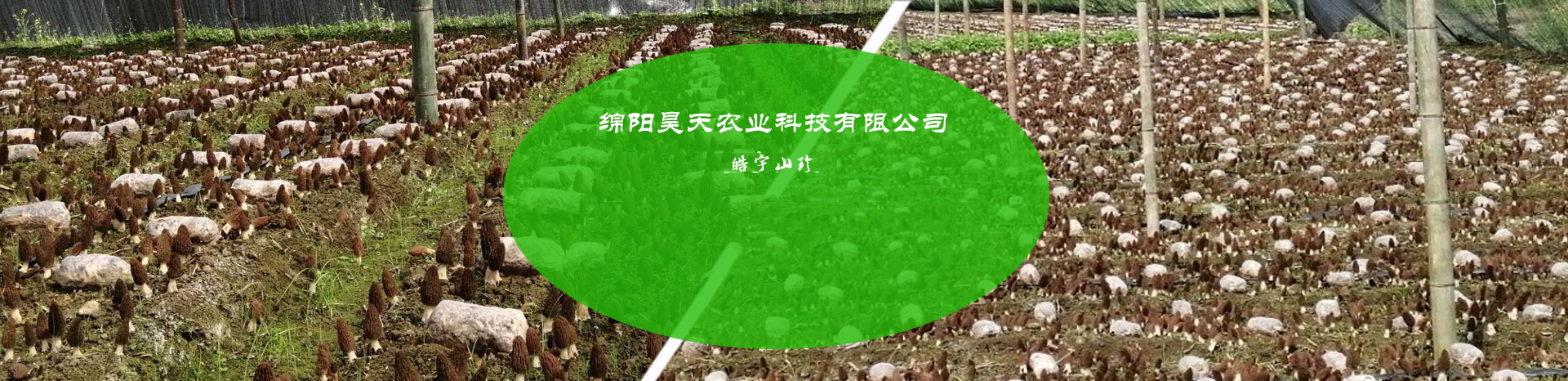 &#49;&#88;&#66;&#69;&#84;&#38598;&#22242;&#23448;&#32593;&#40;&#20013;&#22269;&#41;&#23448;&#26041;&#32593;&#31449;